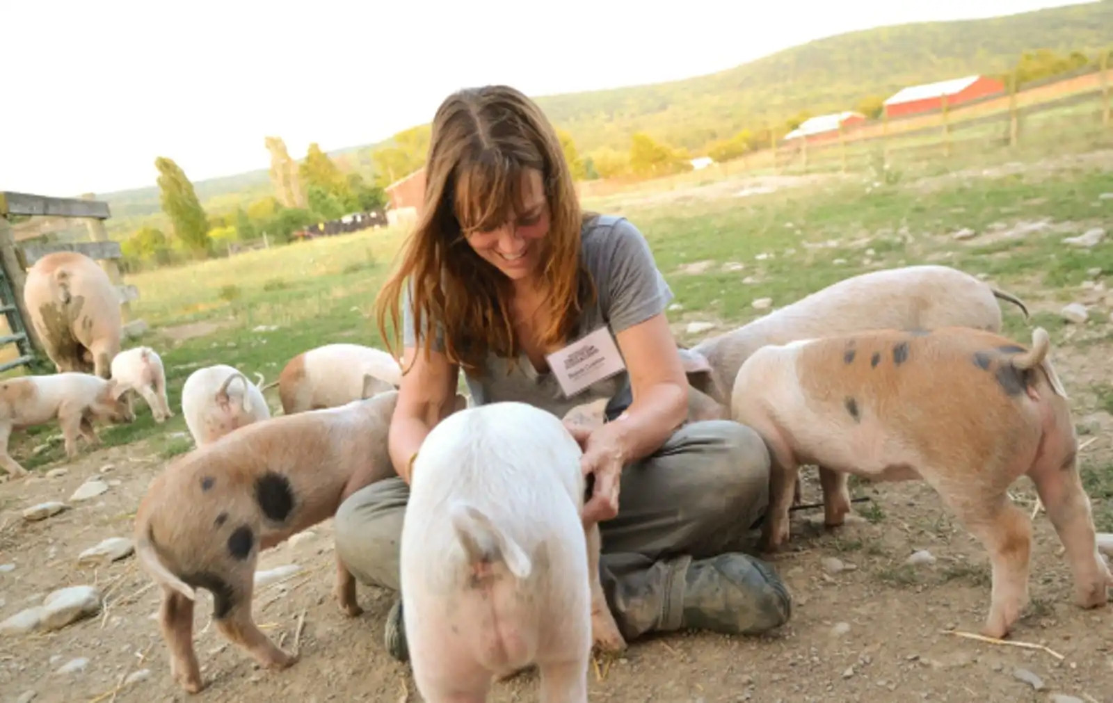 Image de Susie Coston assise avec des cochons au Farm Sanctuary National Shelter