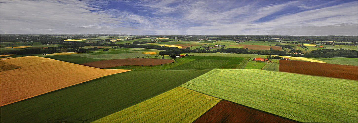 Photo aérienne de champs